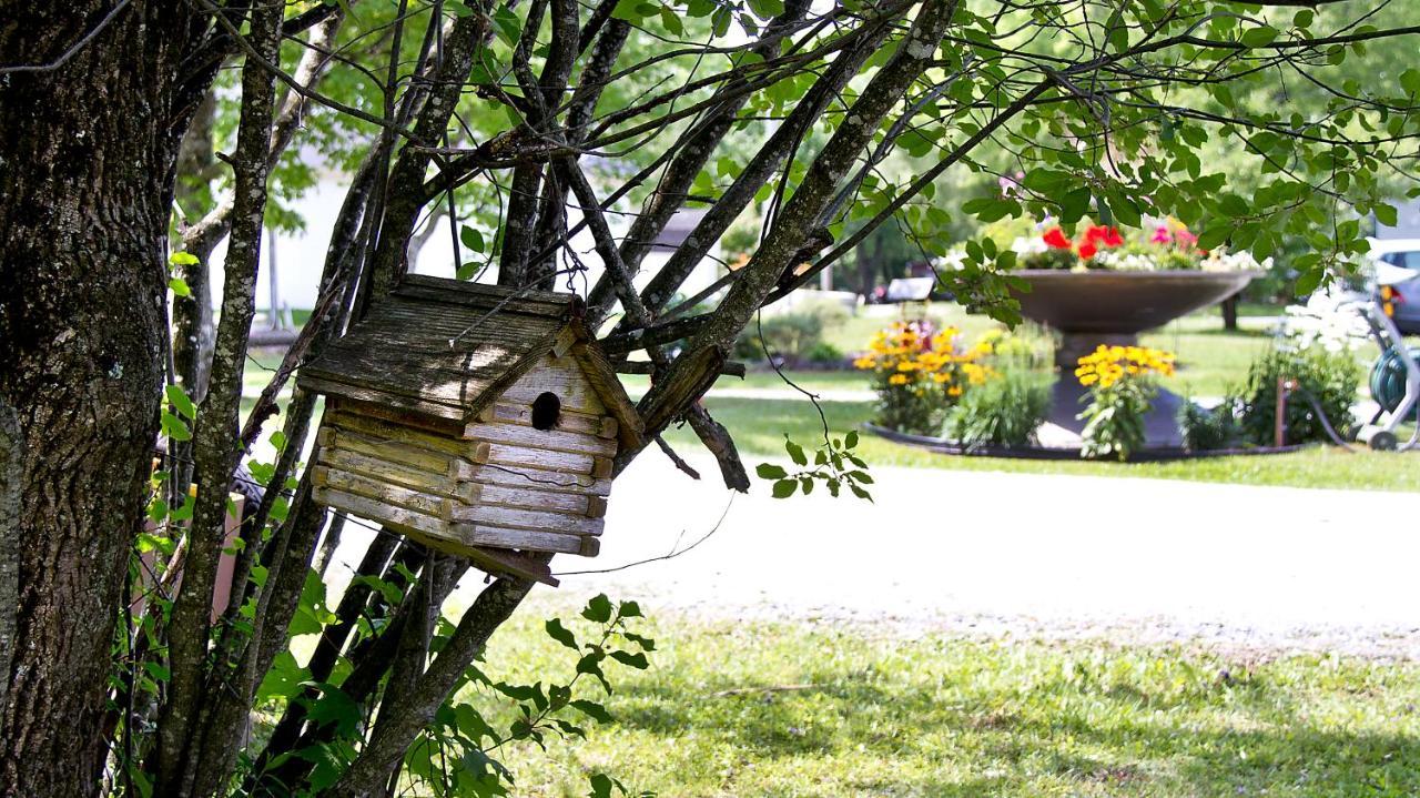 Auberge Papillon Lune Richmond Exterior foto